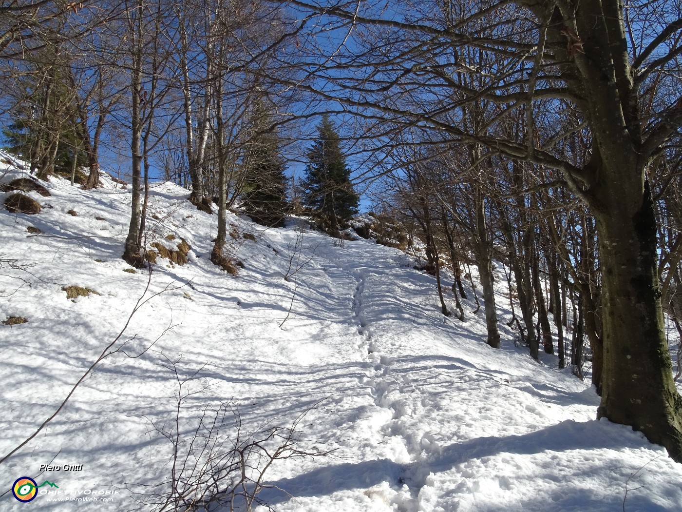 38 Pestando soffice neve dal Buco della Carolina al Monte Poieto sul sent. 537.JPG